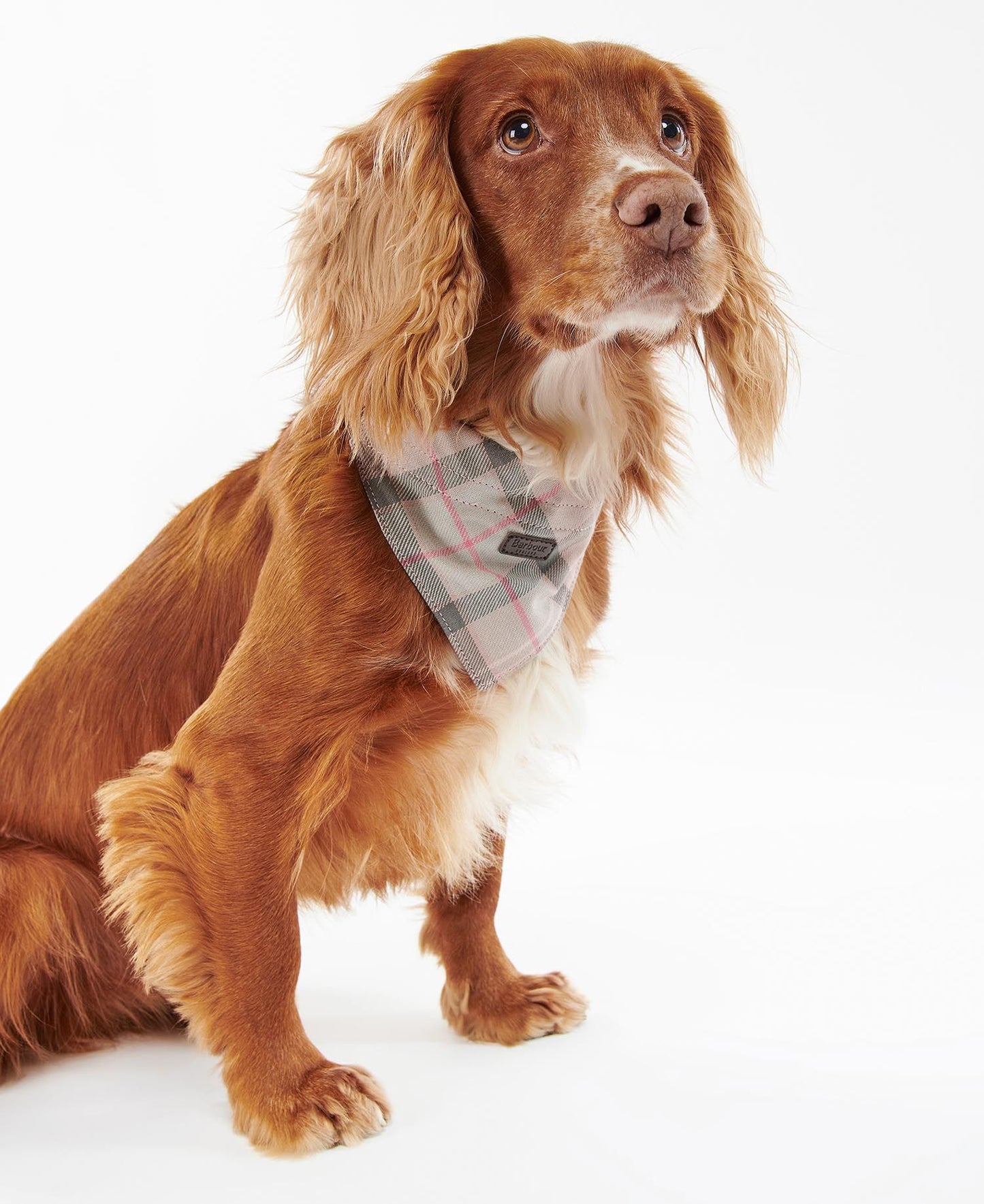 Barbour Tartan Bandana