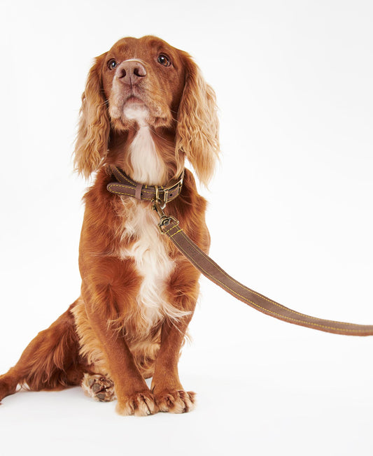 Barbour Hundeleine aus Leder