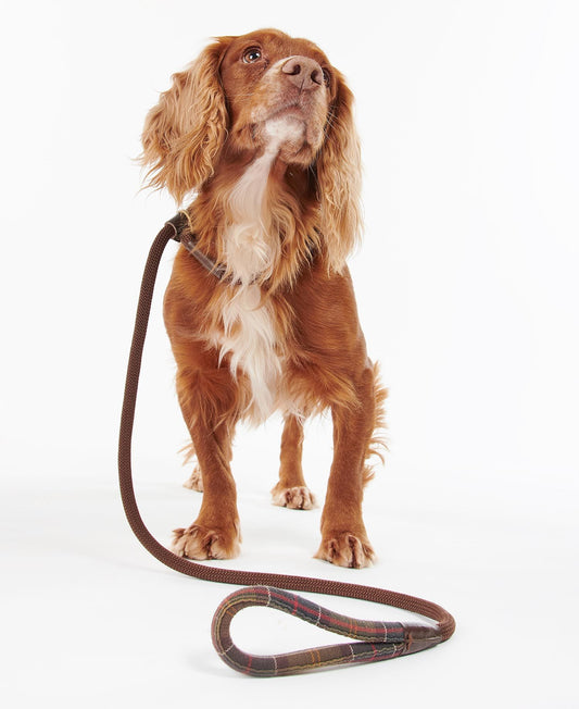 Barbour Hunde Leine Tartan