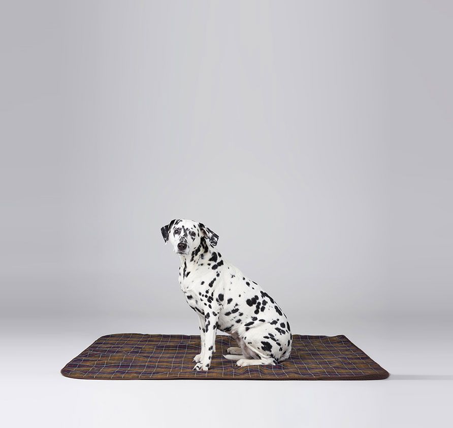 Barbour Tartan Hundedecke groß