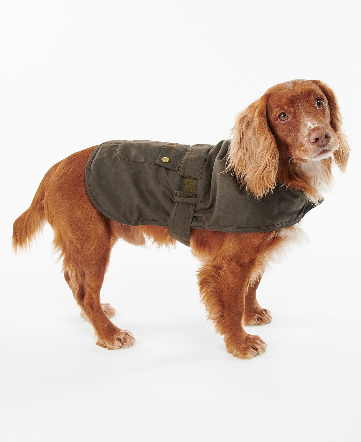 Barbour 2 in 1 Hundemantel aus Wachs