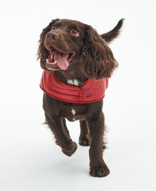 Barbour Hundemantel gesteppt mit Teddy-Futter