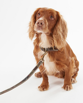 Barbour Tartan Hundeleine reflektierend