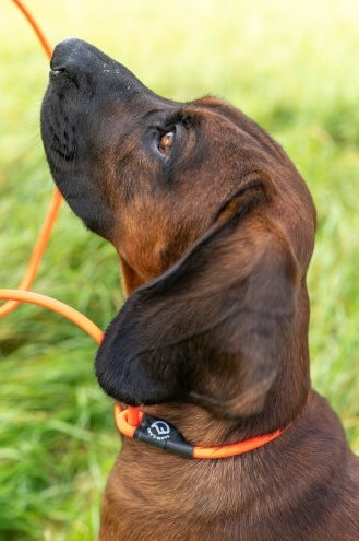 Farm-Land Beileine lautlos