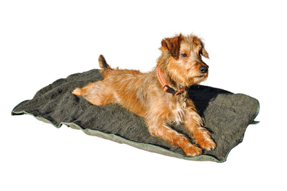 Hubertus Outdoor ISO Hundebett zusammenrollbar