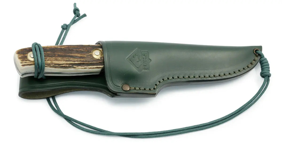 PUMA zeus, stag
