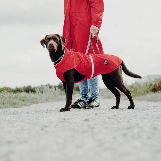 Hunter Hundemantel Uppsala Rain