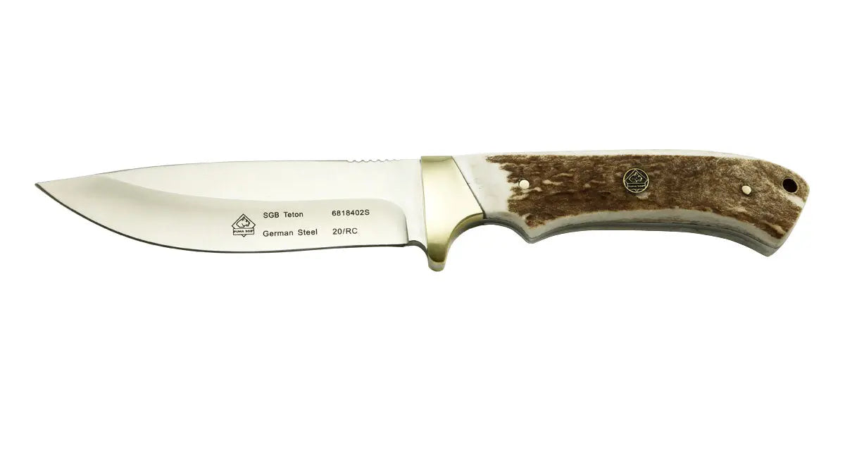 PUMA SGB teton, Hirschhorn