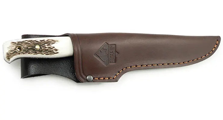 PUMA IP wildmeister, stag