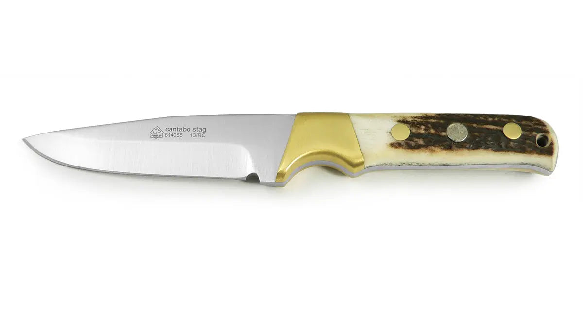 PUMA IP cantabo, stag