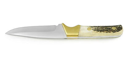 PUMA IP cantabo, stag
