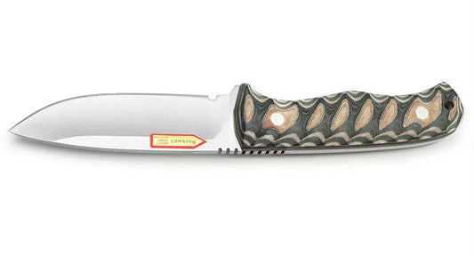 PUMA IP mapache