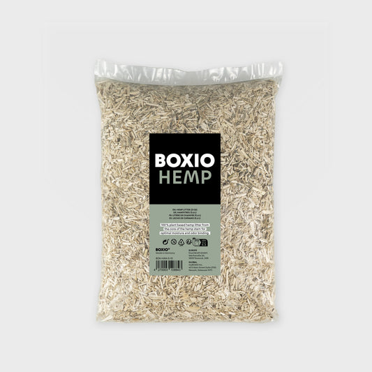 BOXIO - HEMP | Hanfstreu