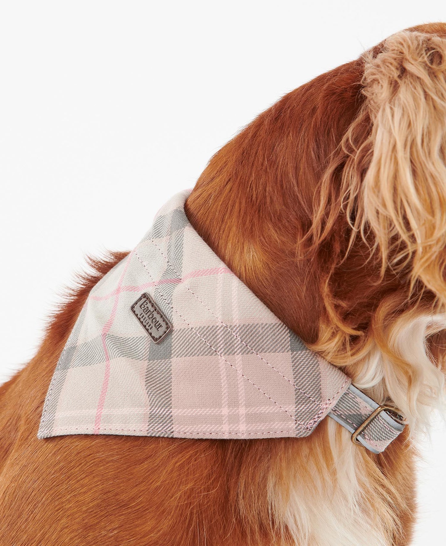 Barbour Tartan Bandana