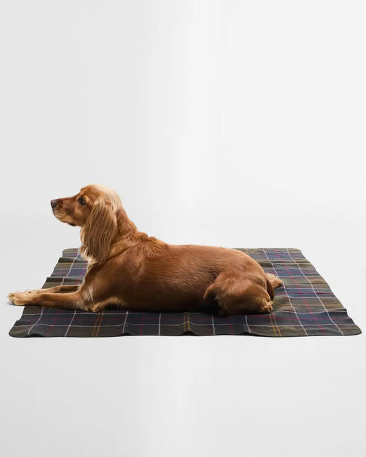 Barbour Hundedecke in Classic Tartan