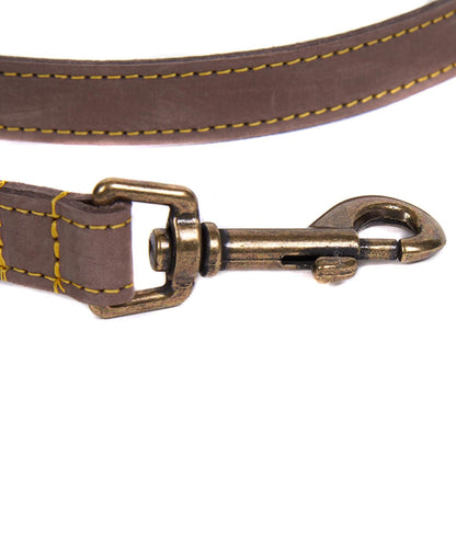 Barbour Hundeleine aus Leder