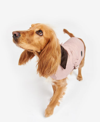 Barbour Hundemantel gesteppt