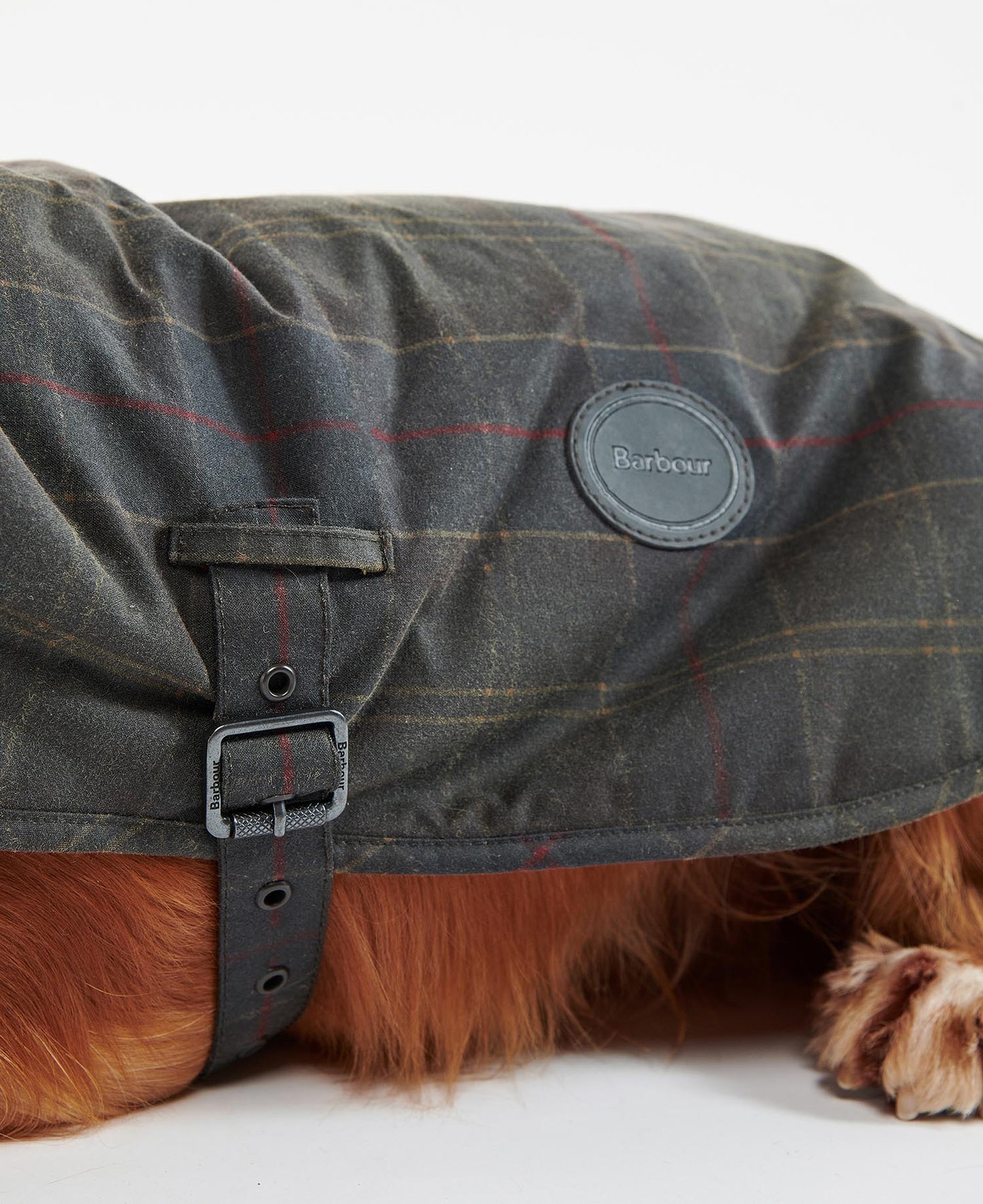 Barbour Hundemantel aus Wachs mit Tartan