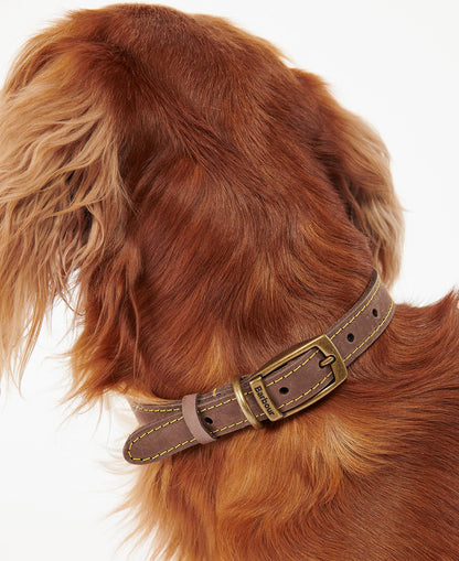 Barbour Hundehalsband aus Leder