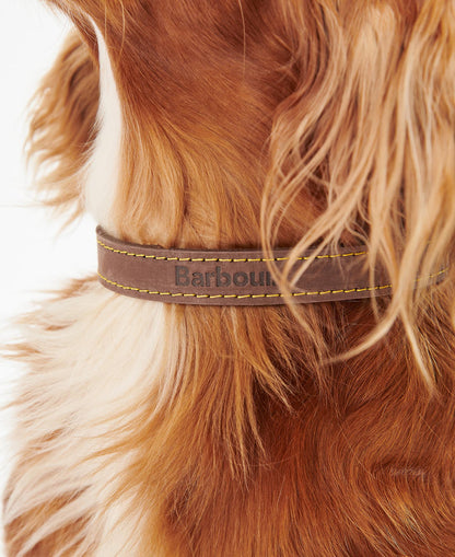 Barbour Hundehalsband aus Leder