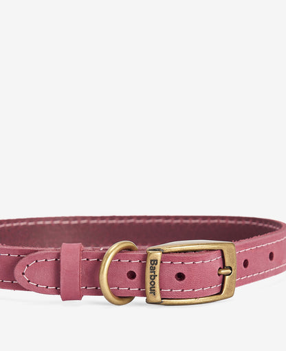 Barbour Hundehalsband aus Leder