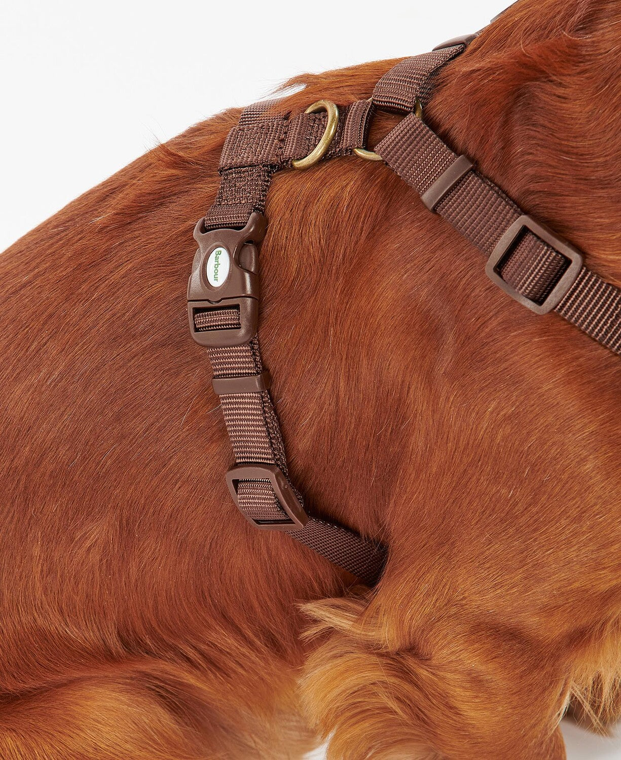 Barbour Hunde Geschirr Travel & Exercise