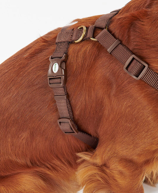 Barbour Hunde Geschirr Travel & Exercise