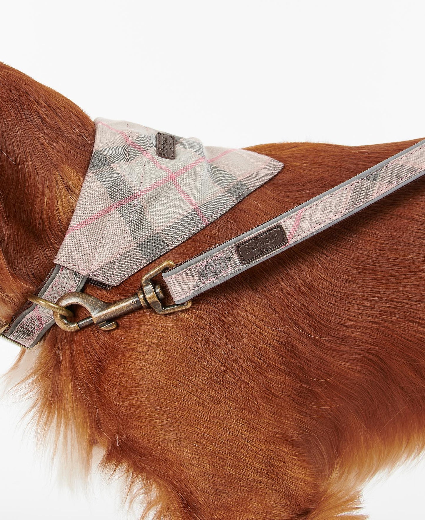 Barbour Tartan Hundeleine reflektierend