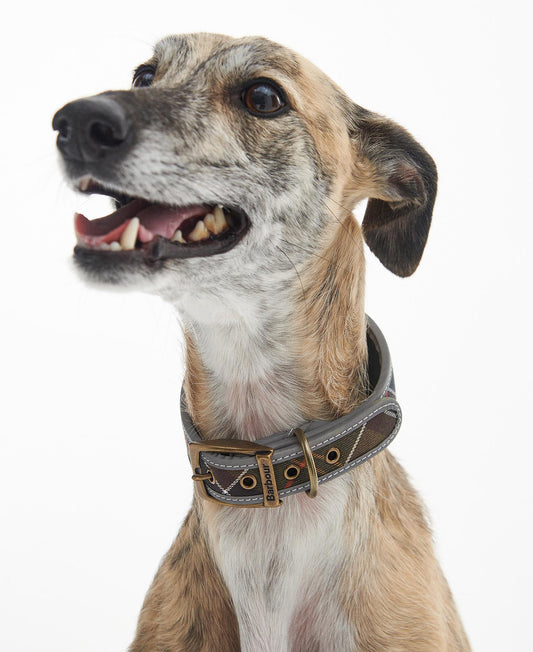 Barbour Lurcher Hundehalsband Tartan