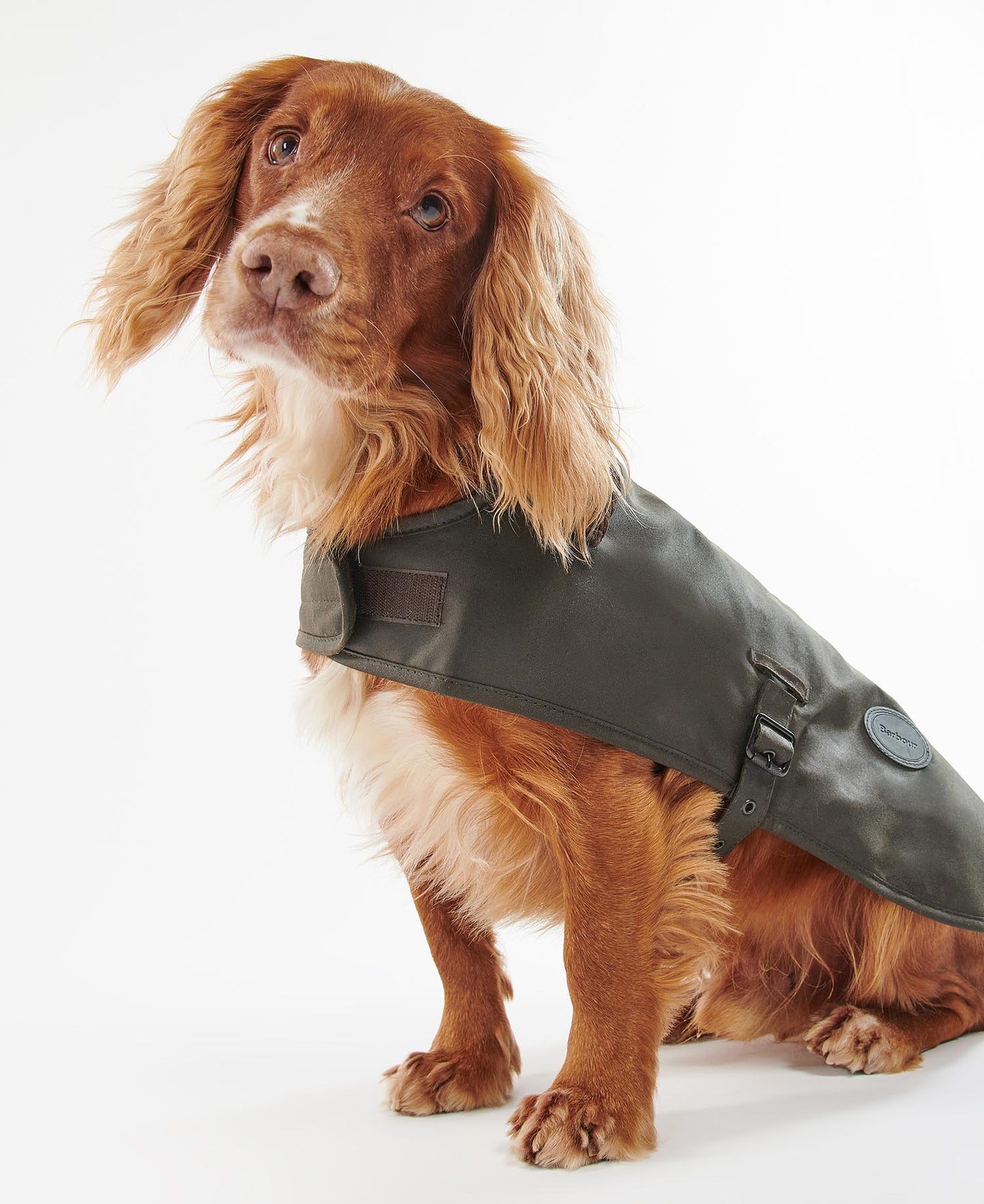 Barbour Hundemantel aus Wachs
