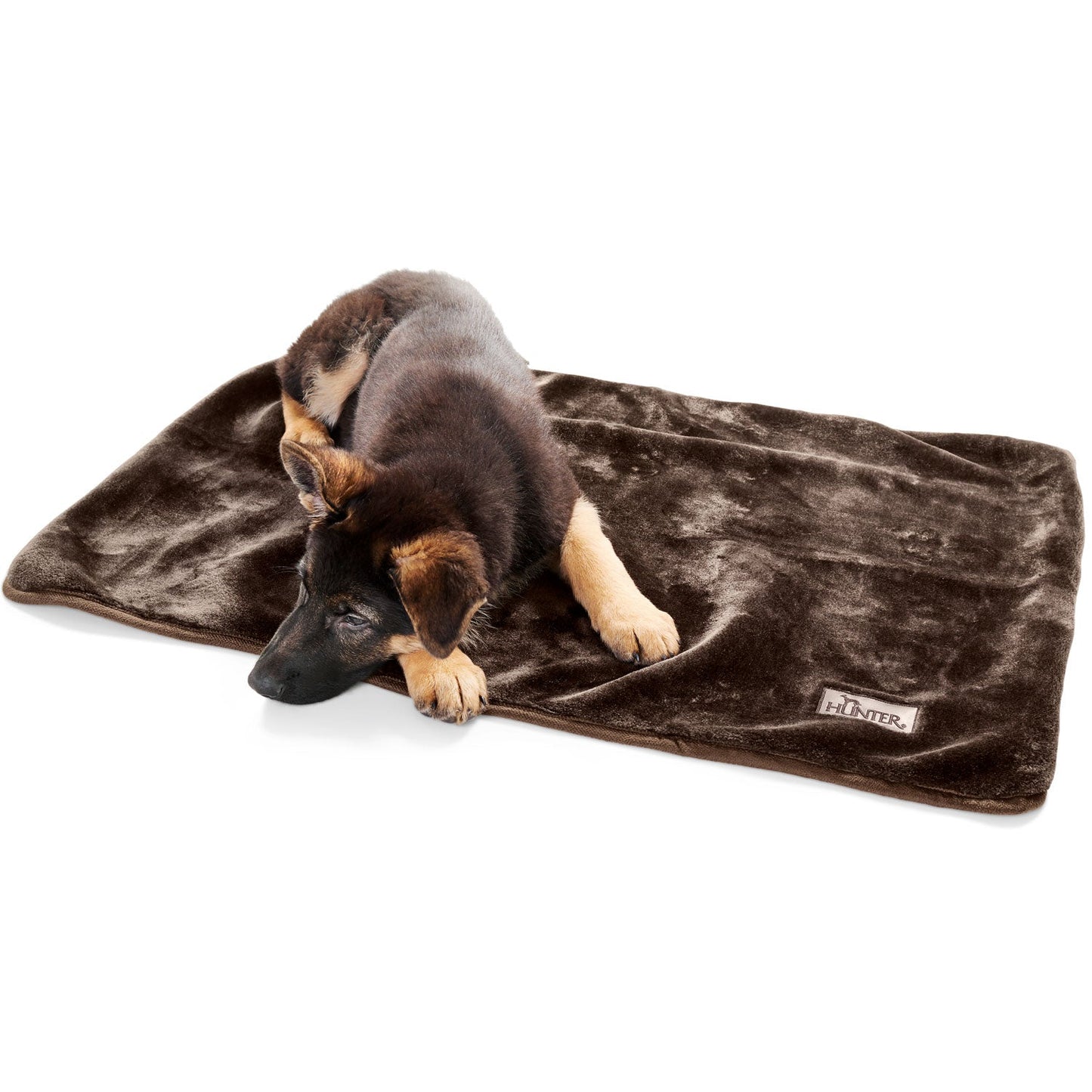 Hunter Hundedecke Konstanz