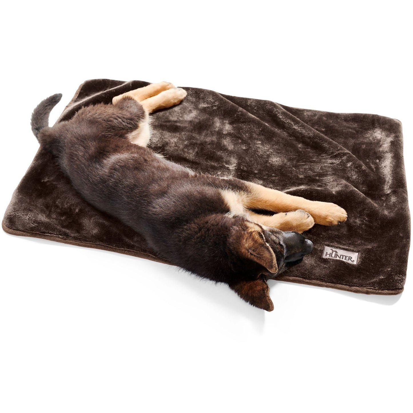 Hunter Hundedecke Konstanz