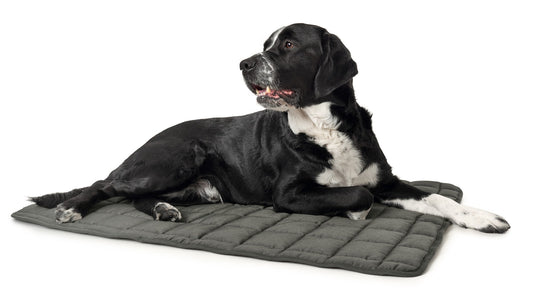 Hunter Hundedecke Hamilton