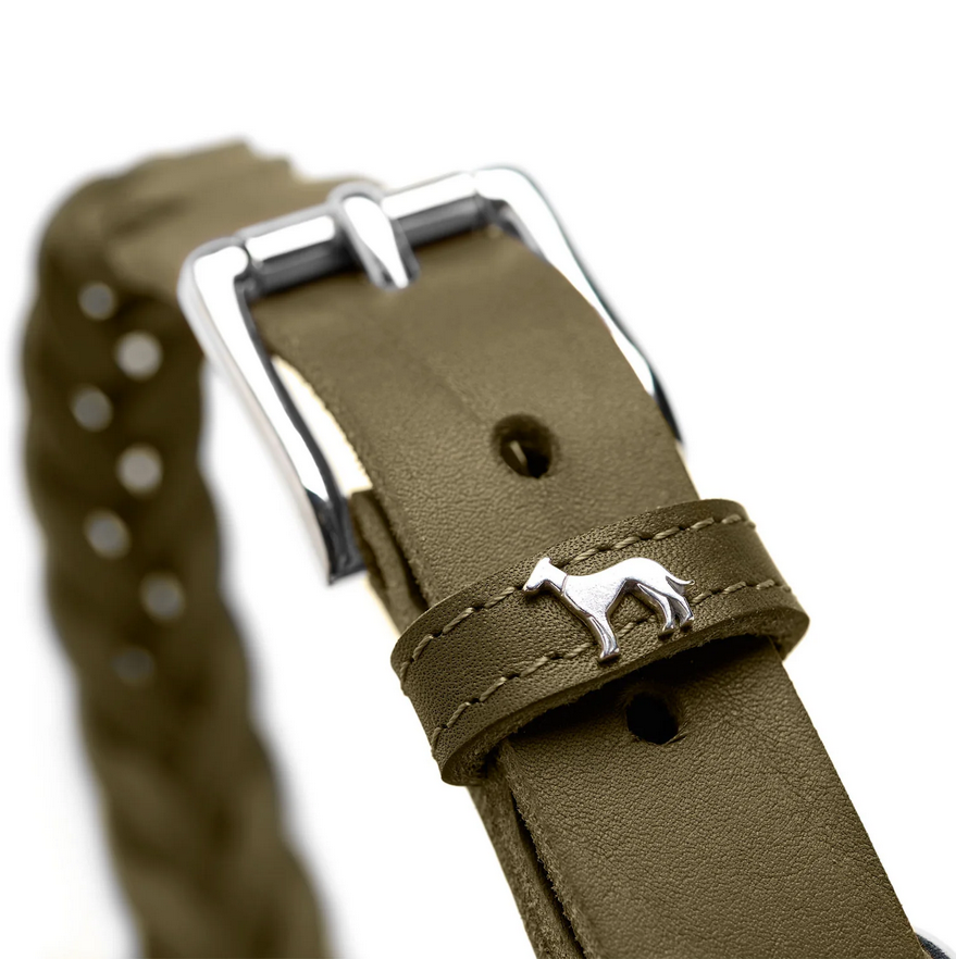 Hunter Halsband Solid Education Special