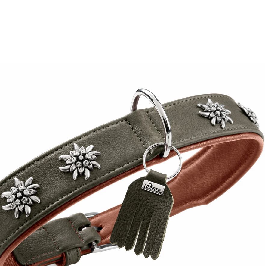 Hunter Halsband München