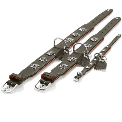 Hunter Halsband München