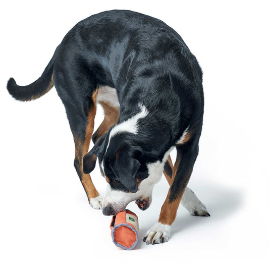 Hunter Training Snack-Dummy Tough Pombas