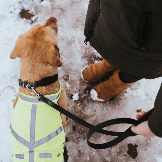 Hunter Warnweste für Hunde