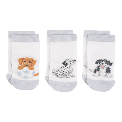 Wrendale Baby-Socken "Little Paws"