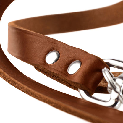 Hunter verstellbare Hundeleine Leder