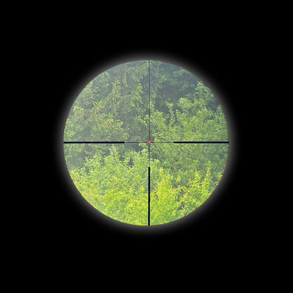 Staffelsee 2,5-20x50 LD V2 Leuchtfaser-Absehen 4