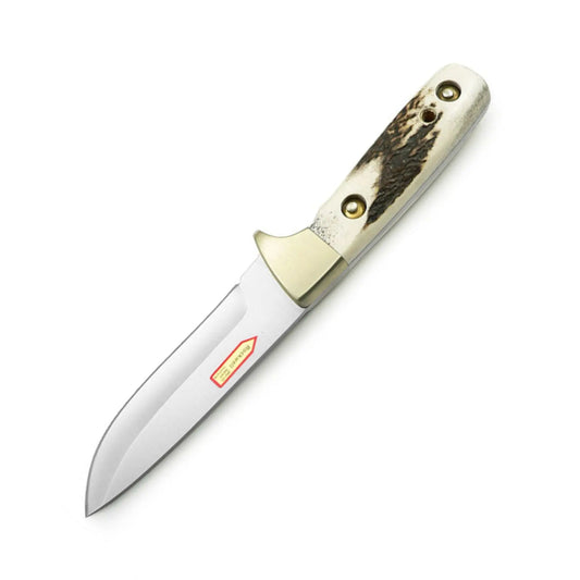 PUMA IP damwild, stag