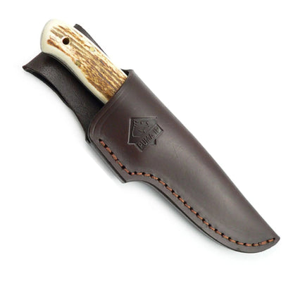PUMA IP elk hunter, stag