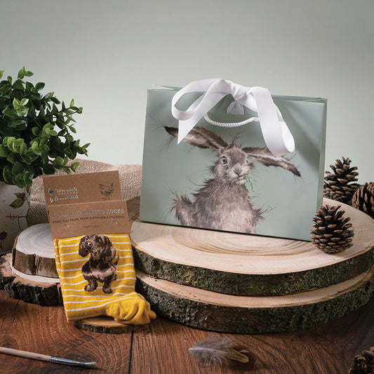 Wrendale Socken "Little One" mit Dackel