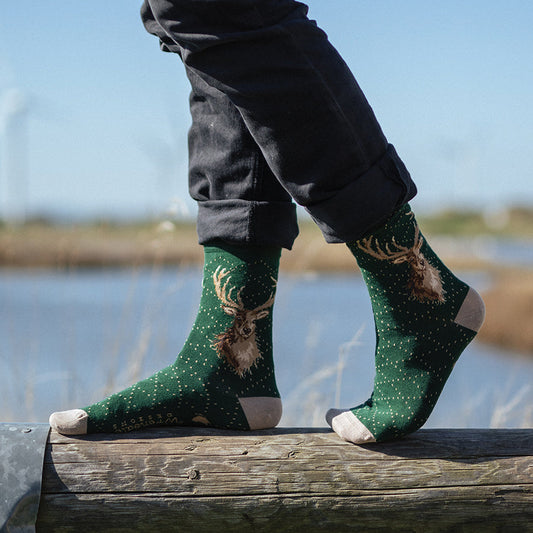 Wrendale  Herren - Socken "In my Footsteps" mit Bär