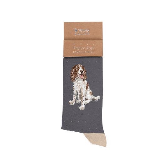 Wrendale  Herren - Socken "Willow" mit Spaniel