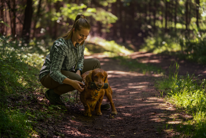 Seeland Damen Stretch Hose Larch