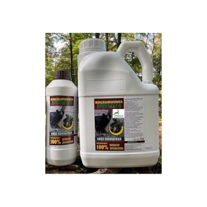 Wildlutscher Pinienteer