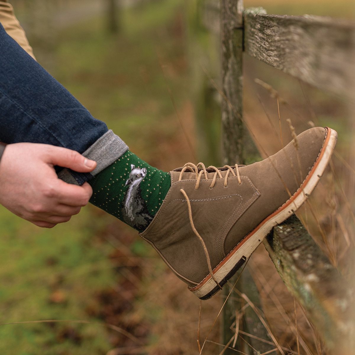 Wrendale  Herren - Socken "A Country Gent" mit Dachs