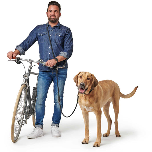 Hunter Fahrrad- & Joggingleine